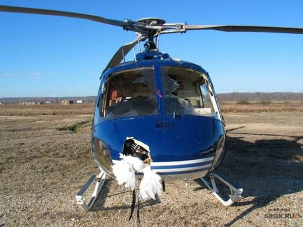 Вертолет столкнулся со стаей гусей (14 фото)
